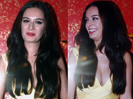 German import Evelyn Sharma is Bollywood's latest bikini sensation!