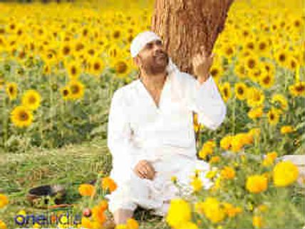 Nagarjuna's Shirdi Sai beats Sudigadu record at USA Box Office