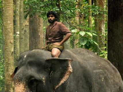 Kumki off to a flying start at Box Office
