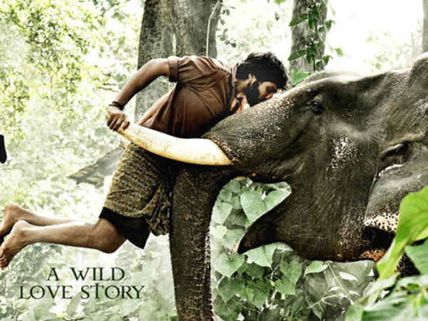 Gajaraju – Movie Review