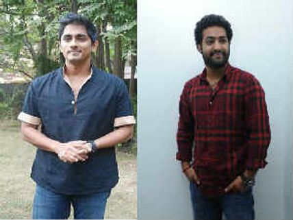 Siddharth doing a cameo in Junior NTR's Baadshah