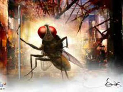 Makuta VFX excited over National Award for Eega