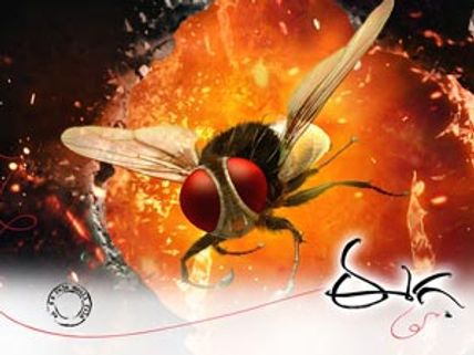 After Cannes, Eega now at Shanghai International Film Festival