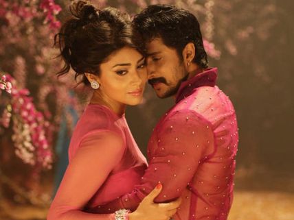 Shriya Saran's external beauty made me approach her: Chandra director Roopa Iyer