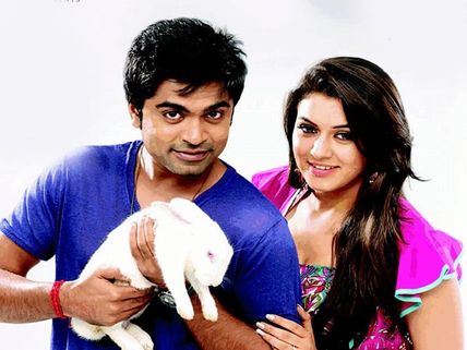 Simbu-Hansika To Follow Ajith-Shalini Footsteps