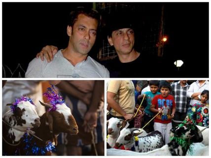 Did You Have A Bite Of Shahrukh, Salman Star Goats This Bakrid?