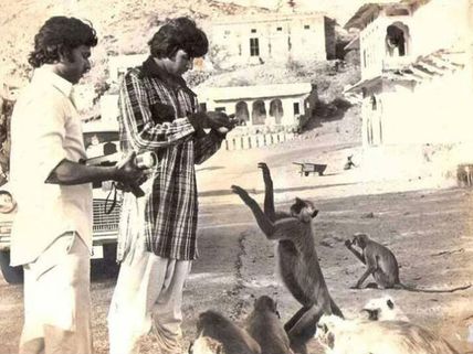 When A Monkey Slapped Amitabh Bachchan