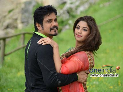 Nagarjuna's Bhai (3 Days) First Weekend Collection At Box Office