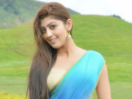 Attarintiki Daredi Success Lands Pranitha Junior NTR's