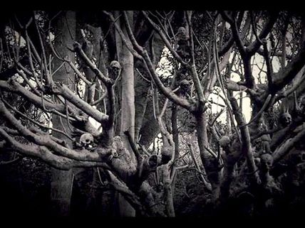 6-5=2 (Six Minus Five Equals Two): How Makers Got The Idea?