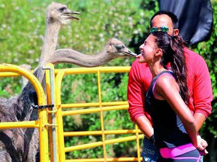 Kushal Tandon: I Let Gauhar Khan Win Bigg Boss 7 But Won't Let Her Win Khatron Ke Khiladi 5! 