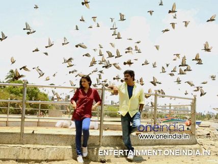 Angry Babies In Love Facing Satellite Issues!