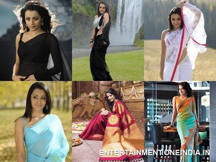 Photos: Hottest Looks Of Trisha In Saree