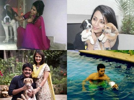 Photos: Tollywood Stars With Their Pet Dogs