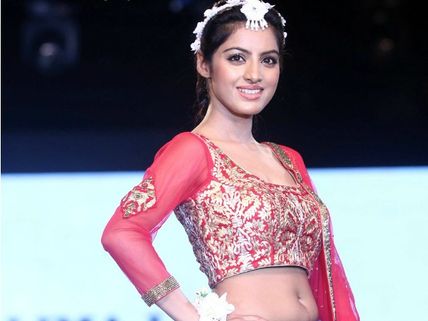Diya Aur Baati Hum's Sandhya, Deepika Singh's Birthday; 10 Unknown Facts About Her