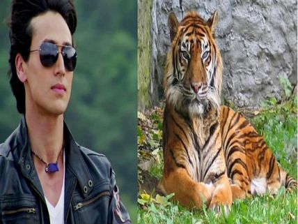 Tiger Shroff's Special Gift For His Tigress!