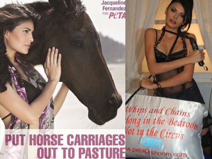 Jacqueline, John, Sherlyn, Bollywood Celebrities Who Posed For PETA