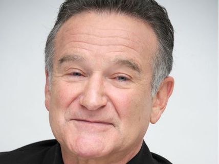 'The Crazy Ones' Cancellation After 1st Season Devastated Robin Williams
