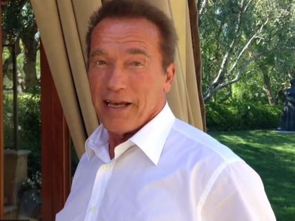 Ai Is A Spectacular Film: Arnold