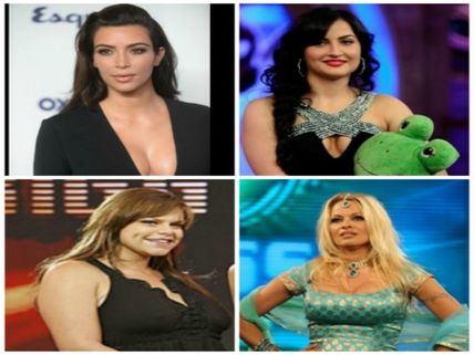 Bigg Boss Top 8 Foreign Celebrities; Kim, Pamela, Elli Top The List!