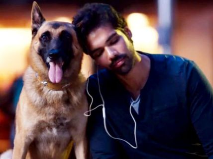 Naaigal Jaakirathai Movie Review: Idoh The Dog Steals The Show