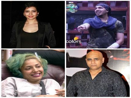 Bigg Boss 8 Inmates Who Love Provoking Fights; Ali-Karishma On Top!