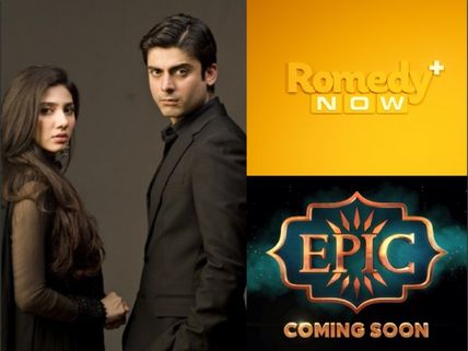 Genre-Specific Channels: Trend Intensifies On Indian TV 