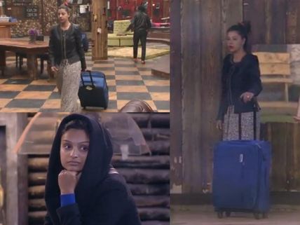 Bigg Boss 8: Sambhavana Seth Packs Bags To Leave, Will She Exit?