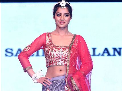 Diya Aur Baati Hum's Deepika Singh Asked To Get Fat! 