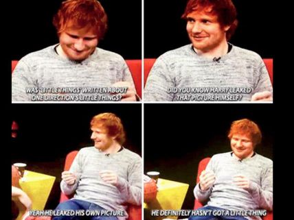 Ed Sheeran Reveals Harry Styles' Junk Size!