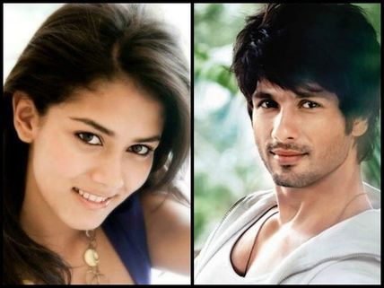10 Things You Didn't Know About Shahid Kapoor-Mira Rajput's Love Story