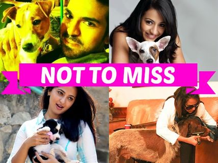 Tollywood Celebrities and Their Love For Dogs