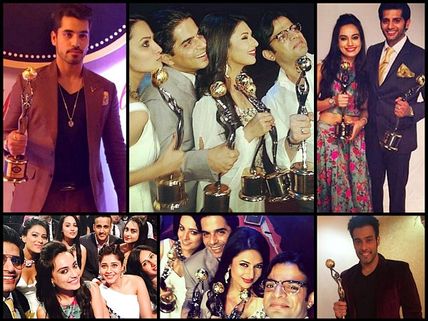 Gold Awards 2015 Winners List: Karan Patel, Divyanka, Karanvir, Surbhi, Gautam Gulati Win! 