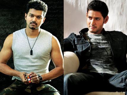 Will Ilayathalapathy Vijay Consider Mahesh Babu's Wish To Share Screen Space With Him?