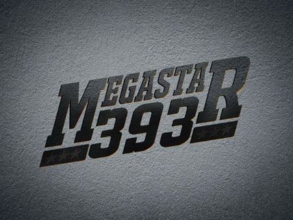 Mammootty's Next Movie: Megastar 393