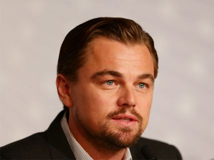 Leonardo DiCaprio Working On Sunita Narain's Documentary, Will Be In India