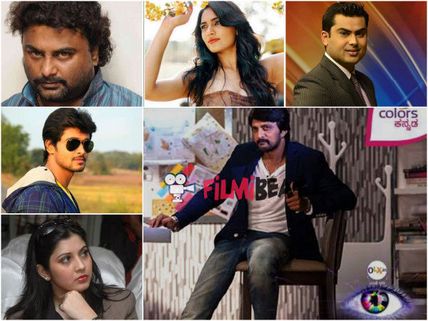 Are They The Final Contestants Of 'Bigg Boss 3'?