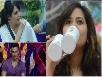 Bigg Boss 9: Mandana Karimi, Prince Narula Safe; Roopal Tyagi To Get Eliminated?