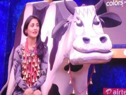 Bigg Boss 9: Rimi Sen To Be Eliminated; Was Payment, The Reason Why She Was Retained?