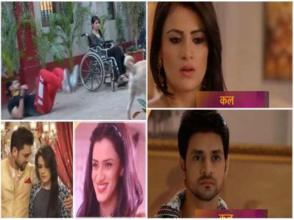Meri Aashiqui Tum Se Hi: Nirbhay & Ritika’s Fatal Attack On Ishaani; Ranveer Saves Ishaani From Lion