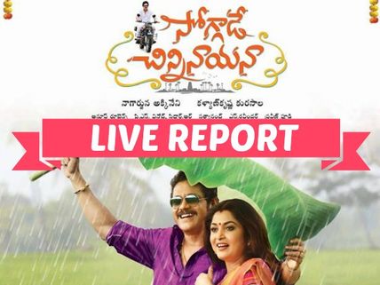 Soggade Chinni Nayana Movie Review By Audience: Nagarjuna Delivers A Pongal Winner