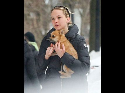 Aww! Jennifer Lawrence And Pet Pippi Spotted Again: Cute Pics! 