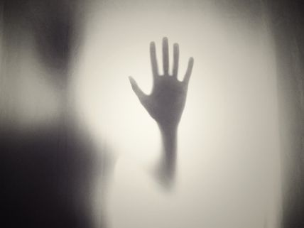 Find Out The Cursed Hollywood Movies Of All Time!