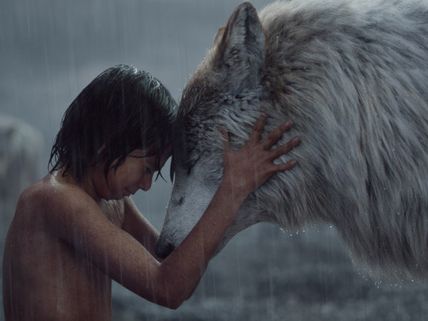 Unbelievable! Jungle Book Has The Highest Collection This Year!