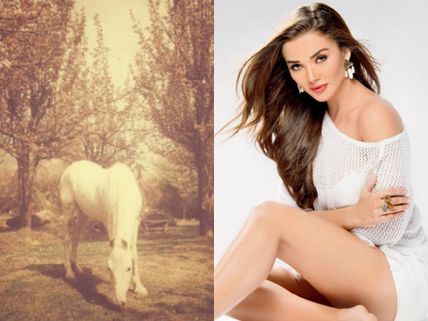 Amy Jackson & Other Bollywood Celebs Mourn The Death Of Police Horse Shaktimaan!