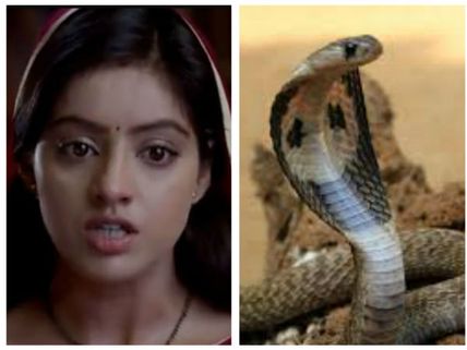 Diya Aur Baati Hum Spoiler: Sandhya To Don ACP Avtar And Encounter The Takshak Snake Soon!
