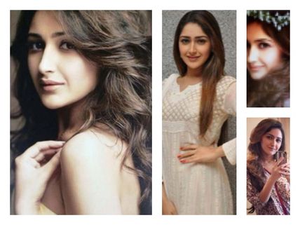New Gorgeous Of B-town! See Here, Stunning Pictures Of Ajay Devgn Shivaay Co-star Sayyeshaa Saigal!