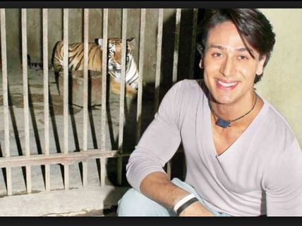International Tiger Day Special! How Did Tiger Shroff Get His Name?
