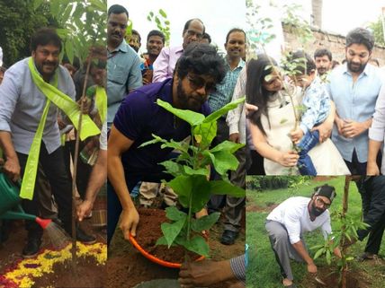 PHOTOS: Chiranjeevi, Nagarjuna, Allu Arjun & Other Tollywood Celebs Takes Part In Haritha Haram