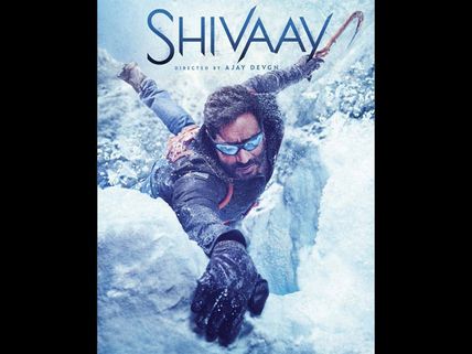 Ajay Devgn's Shivaay Box Office Prediction Report